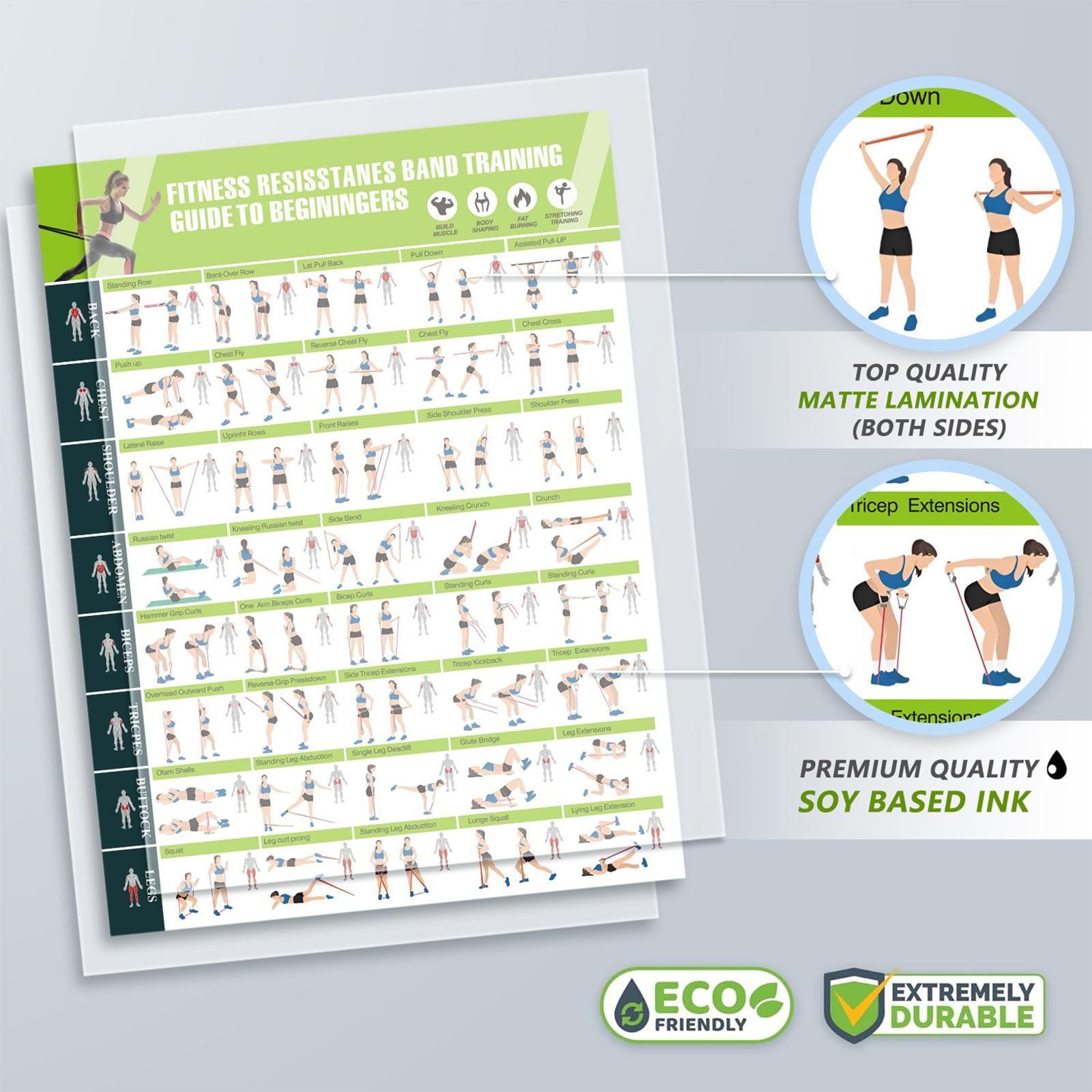 Fitness Chart Yoga Pose Chart  - Home Improvement For Beginners บทวิจารณ์และราคา